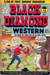 Cover For Black Diamond Western 15