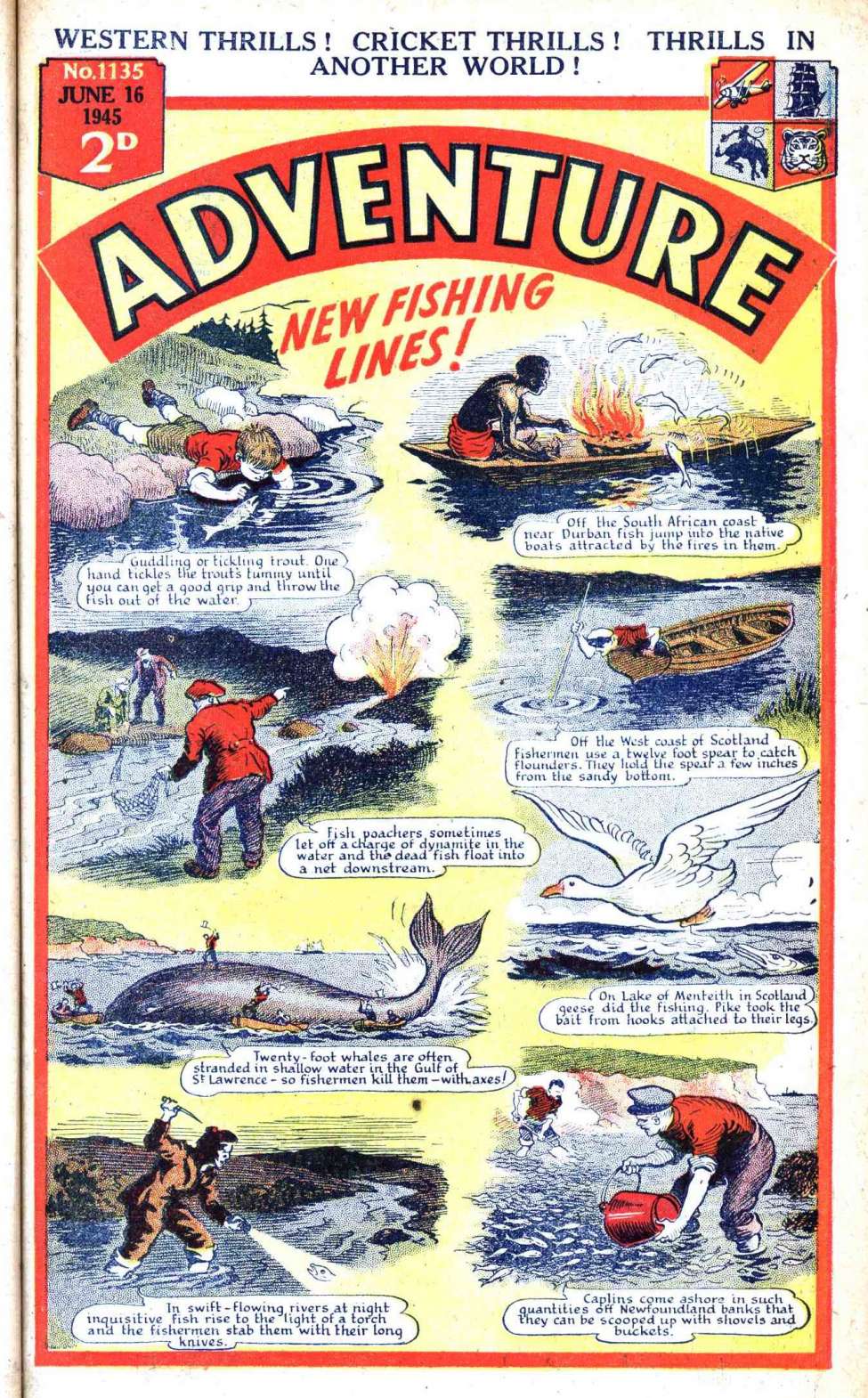 Comic Book Cover For Adventure 1135