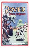 Cover For The Rover 204