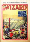 Cover For The Wizard 875
