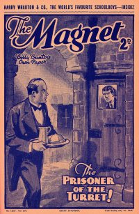 Large Thumbnail For The Magnet 1637 - The Prisoner in the Turret!