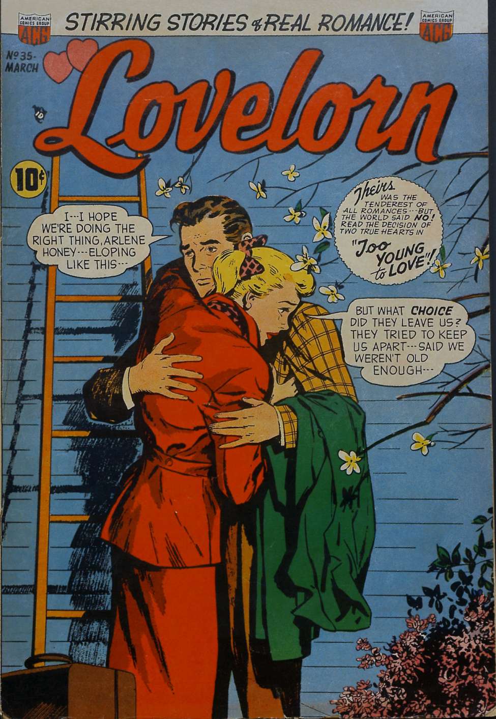 Comic Book Cover For Lovelorn 35
