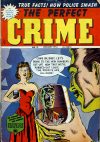 Cover For The Perfect Crime 31