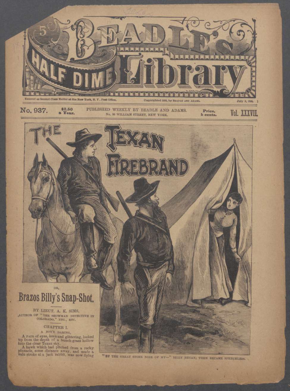 Book Cover For Beadle's Half Dime Library 937 - The Texan Firebrand