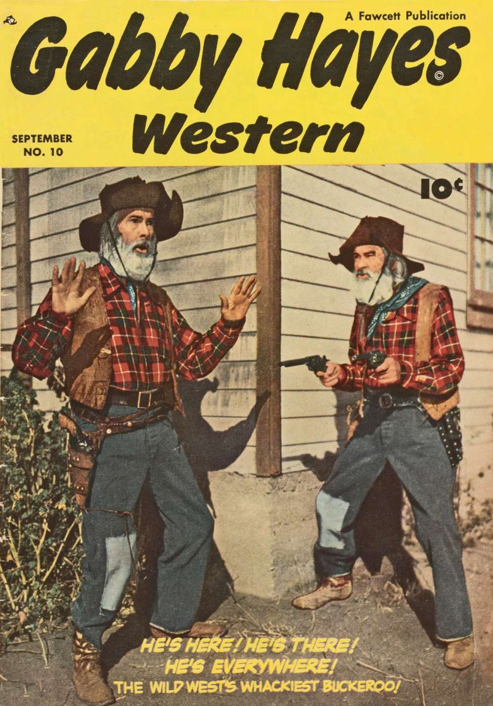 Book Cover For Gabby Hayes Western 10