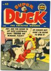 Cover For Super Duck 43