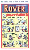 Cover For The Rover 1031