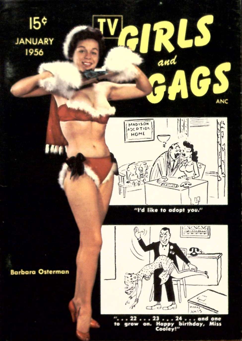 Book Cover For TV Girls and Gags v2 4