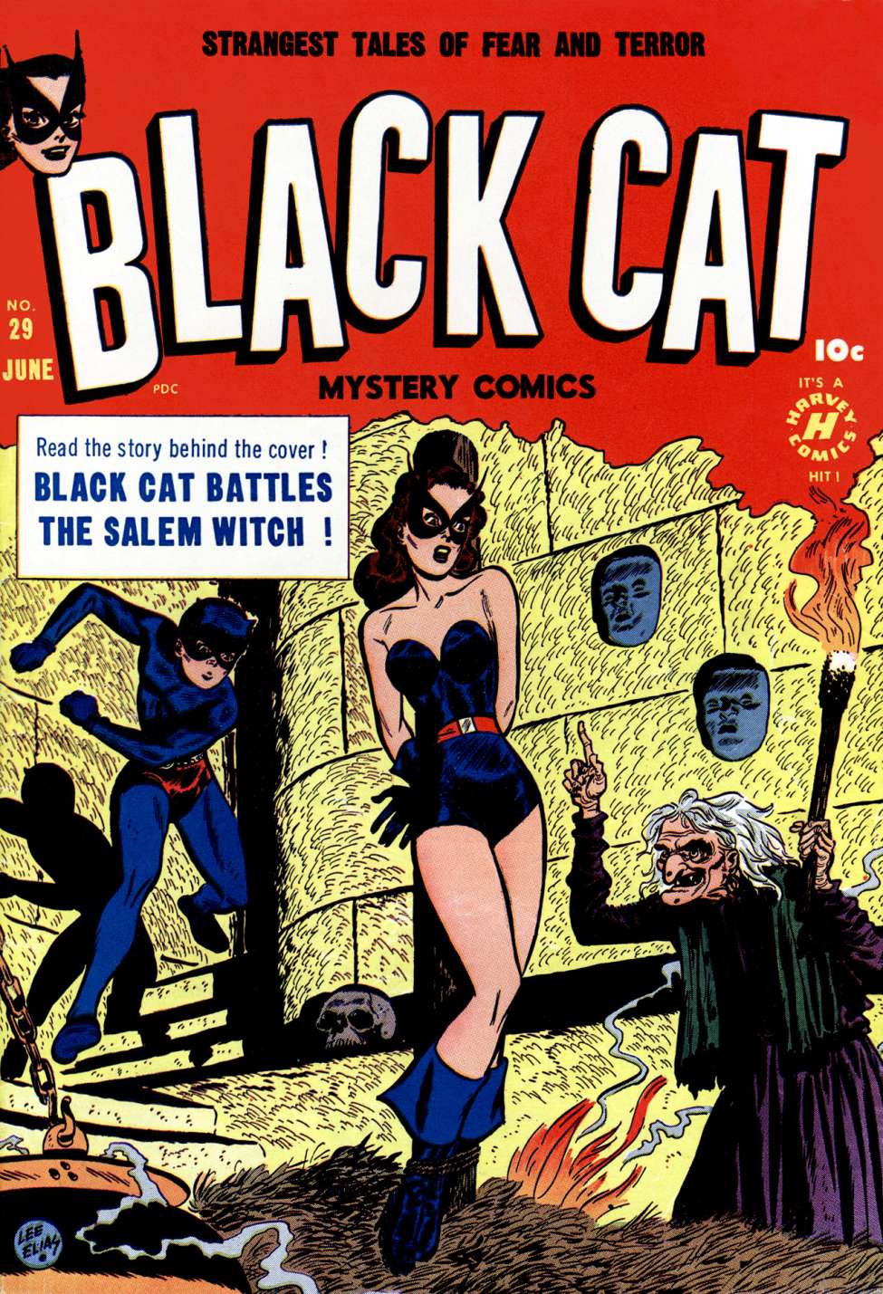 Comic Book Cover For Black Cat 29 (Mystery)