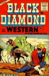 Cover For Black Diamond Western 60