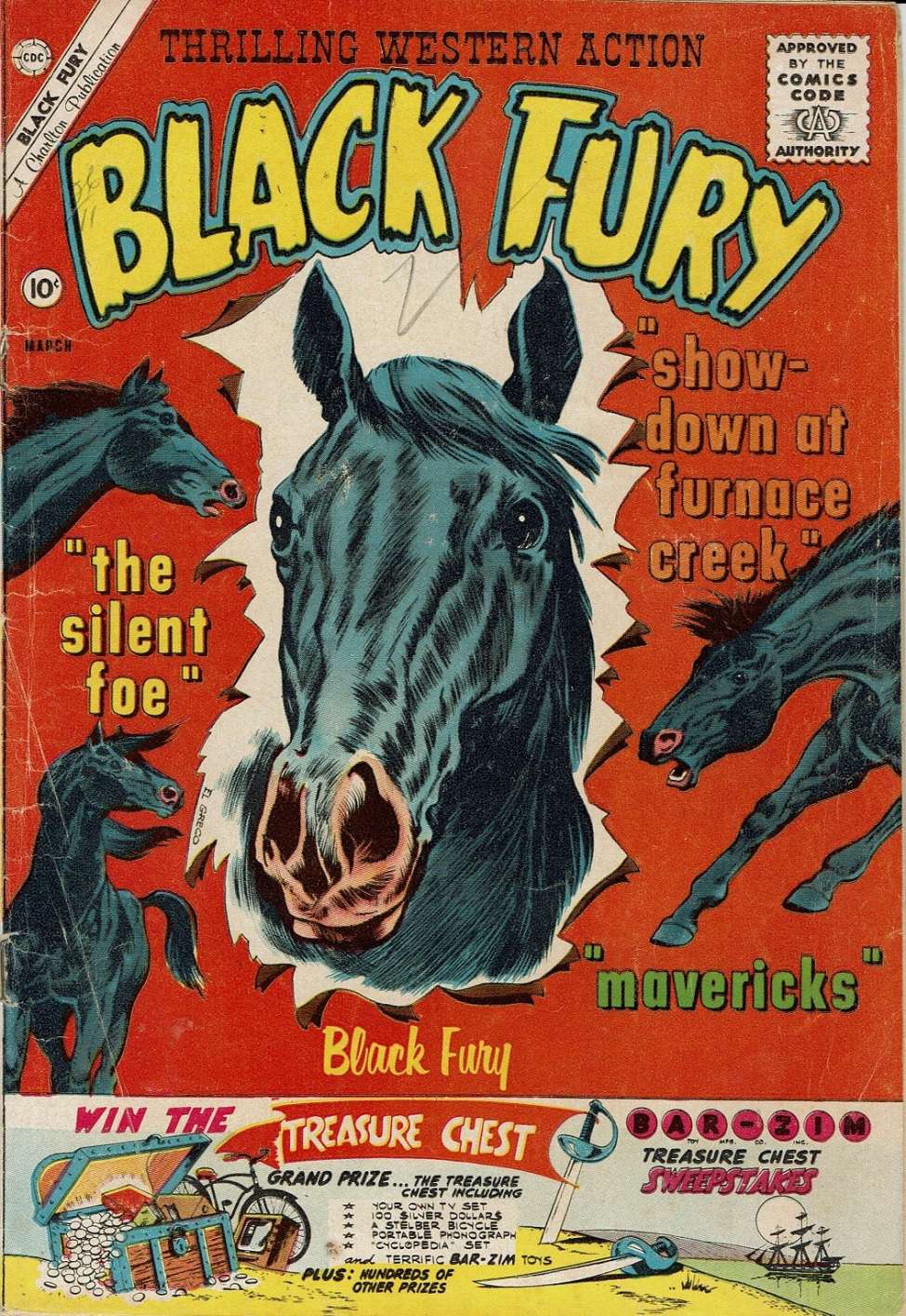 Book Cover For Black Fury 29