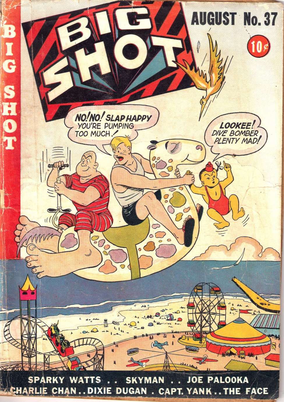 Book Cover For Big Shot 37