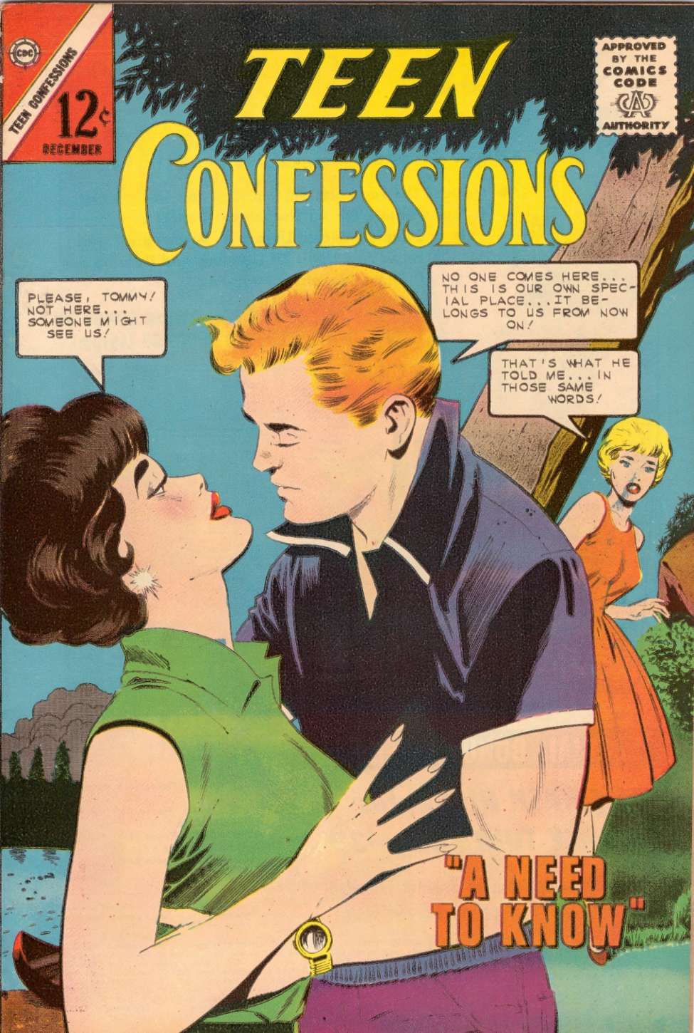 Book Cover For Teen Confessions 26