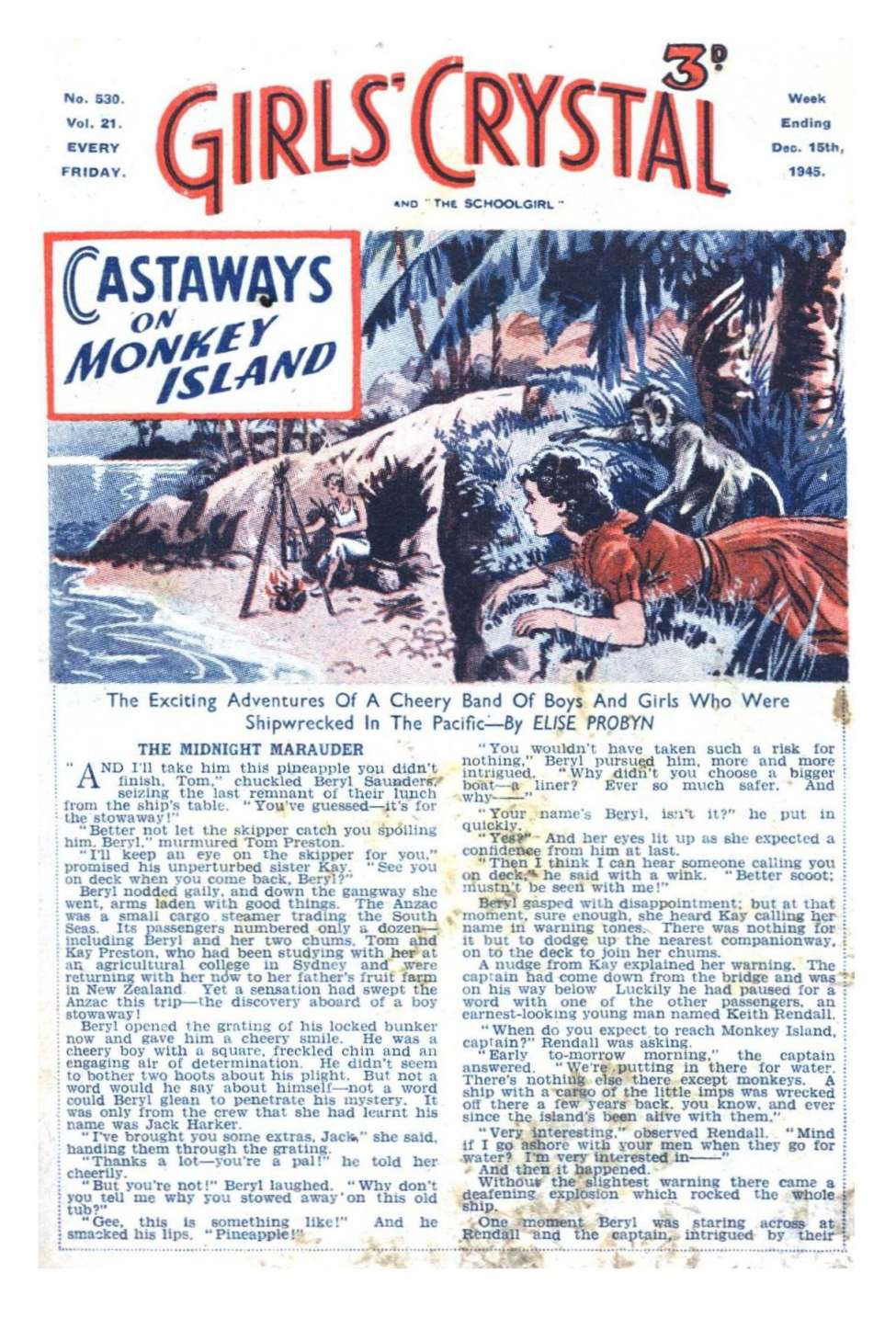 Book Cover For Girls' Crystal 530 - Castaways on Monkey Island