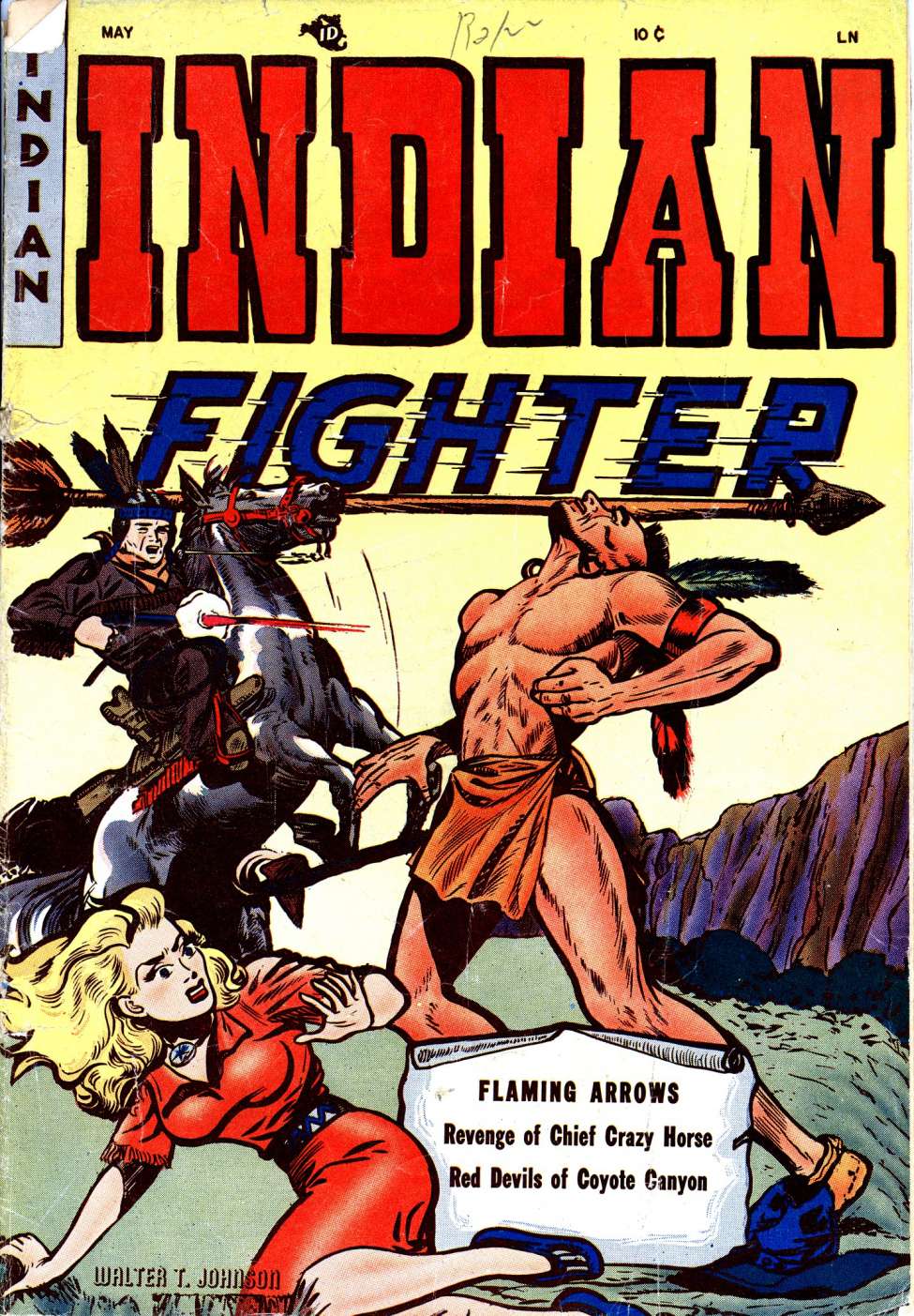 Book Cover For Indian Fighter 1