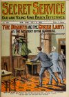 Cover For Secret Service 389 - The Bradys and the green lady