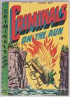 Cover For Criminals on the Run v5 1
