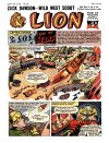 Cover For Lion 272