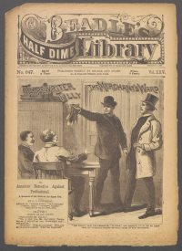 Large Thumbnail For Beadle's Half Dime Library 647 - Typewriter Tilly, the Merchant's Ward