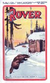 Cover For The Rover 342