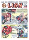 Cover For Lion 228