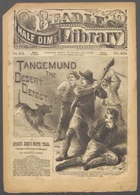 Large Thumbnail For Beadle's Half Dime Library 478 - Tangemund, the Desert Detective