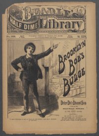 Large Thumbnail For Beadle's Half Dime Library 956 - Brooklyn Bob's Bulge