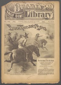 Large Thumbnail For Beadle's Half Dime Library 743 - Buck Taylor's Boys
