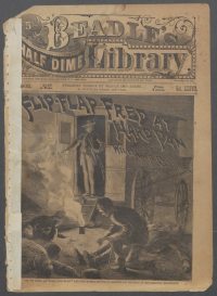 Large Thumbnail For Beadle's Half Dime Library 962 - Flip-Flap Fred at Hard Pan