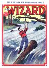 Cover For The Wizard 573