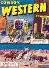 Cover For Cowboy Western 21