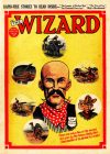 Cover For The Wizard 744