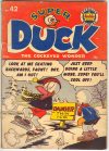 Cover For Super Duck 42