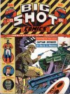 Cover For Big Shot 13