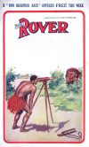 Cover For The Rover 528