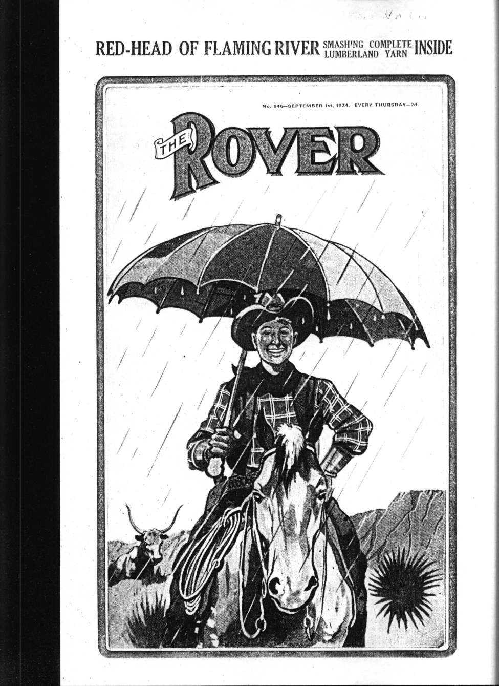 Book Cover For The Rover 646