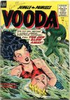 Cover For Vooda 22