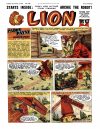 Cover For Lion 299