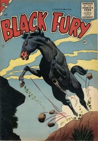 Large Thumbnail For Black Fury 2 - Version 2