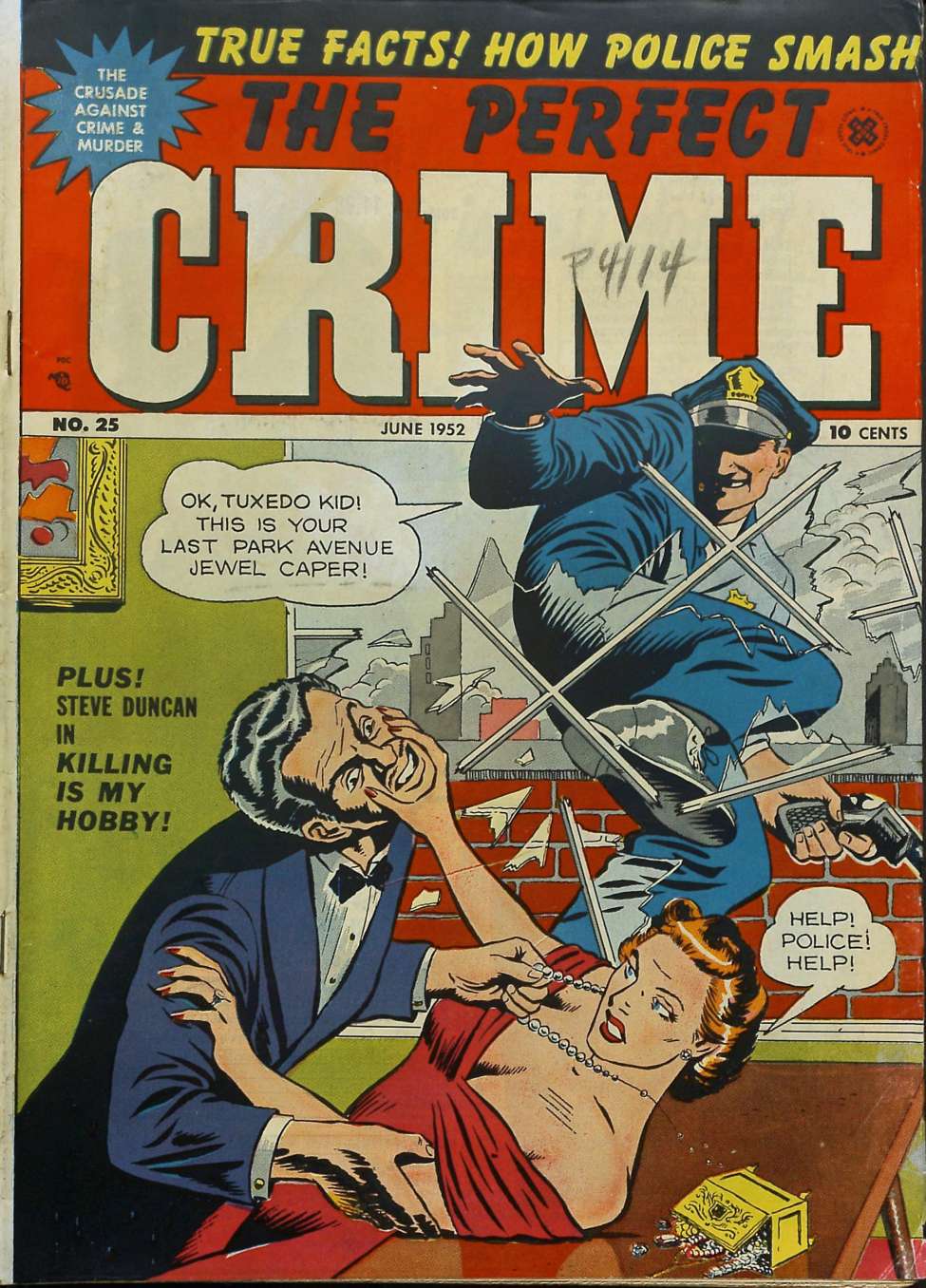 Book Cover For The Perfect Crime 25