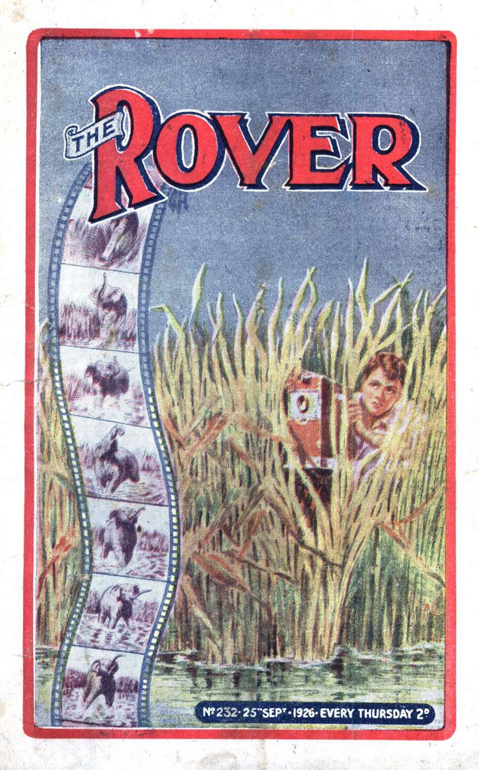 Book Cover For The Rover 232