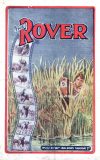 Cover For The Rover 232