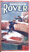 Cover For The Rover 43