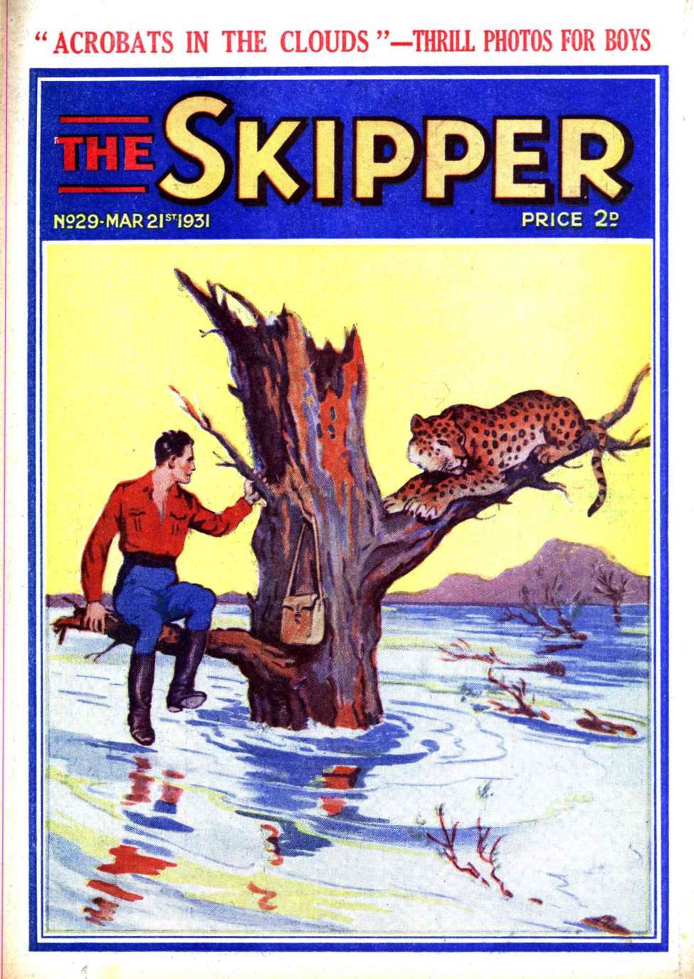 Book Cover For The Skipper 29