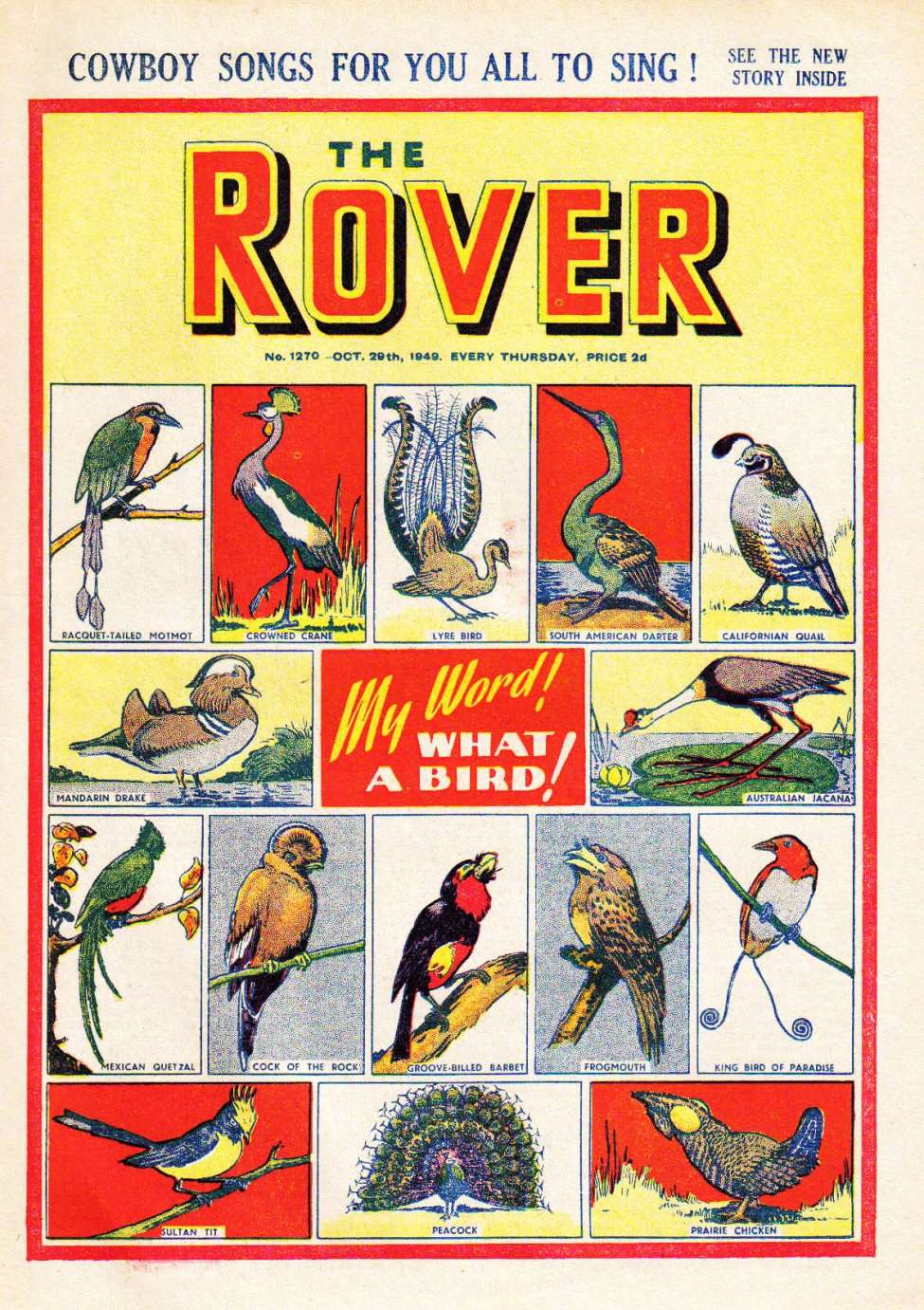 Book Cover For The Rover 1270