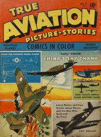 Large Thumbnail For True Aviation Picture Stories 7