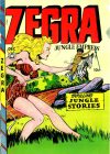 Cover For Zegra 3