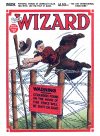 Cover For The Wizard 672