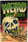 Cover For Weird Mysteries 4