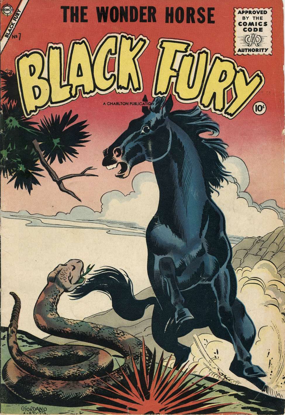 Comic Book Cover For Black Fury 7